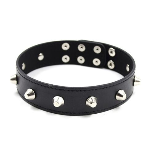 Collare spikes collar