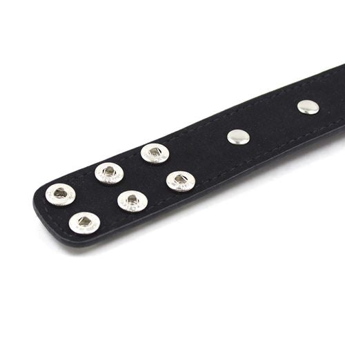 Collare spikes collar