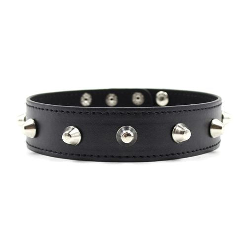 Collare spikes collar