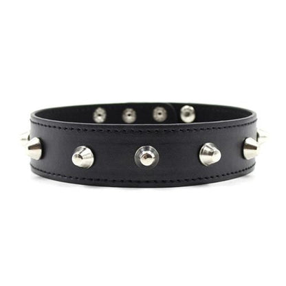 Collare spikes collar